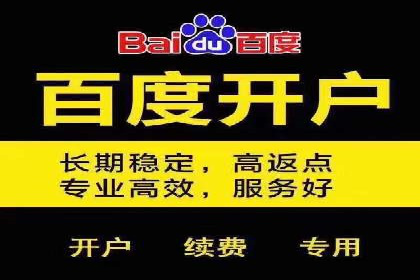 成功案例揭秘：百度竞价账户托管的运营之道