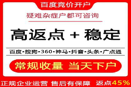 SEM搜索引擎优化：广告创意的策划与执行